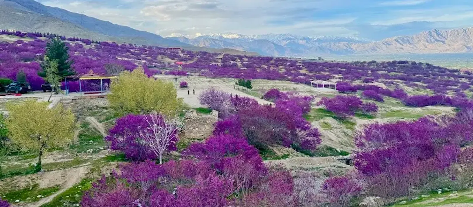 Parwan province