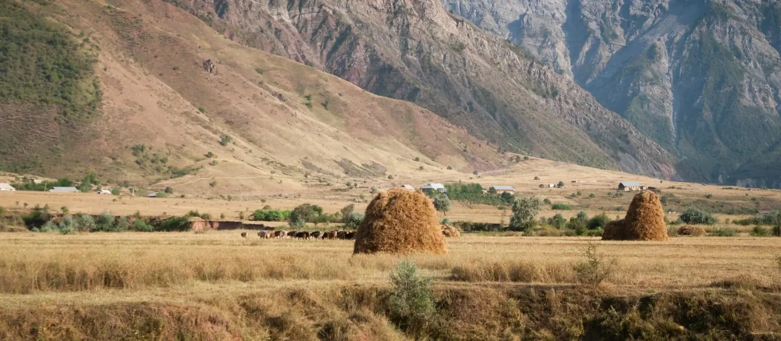 Pamir wilderness