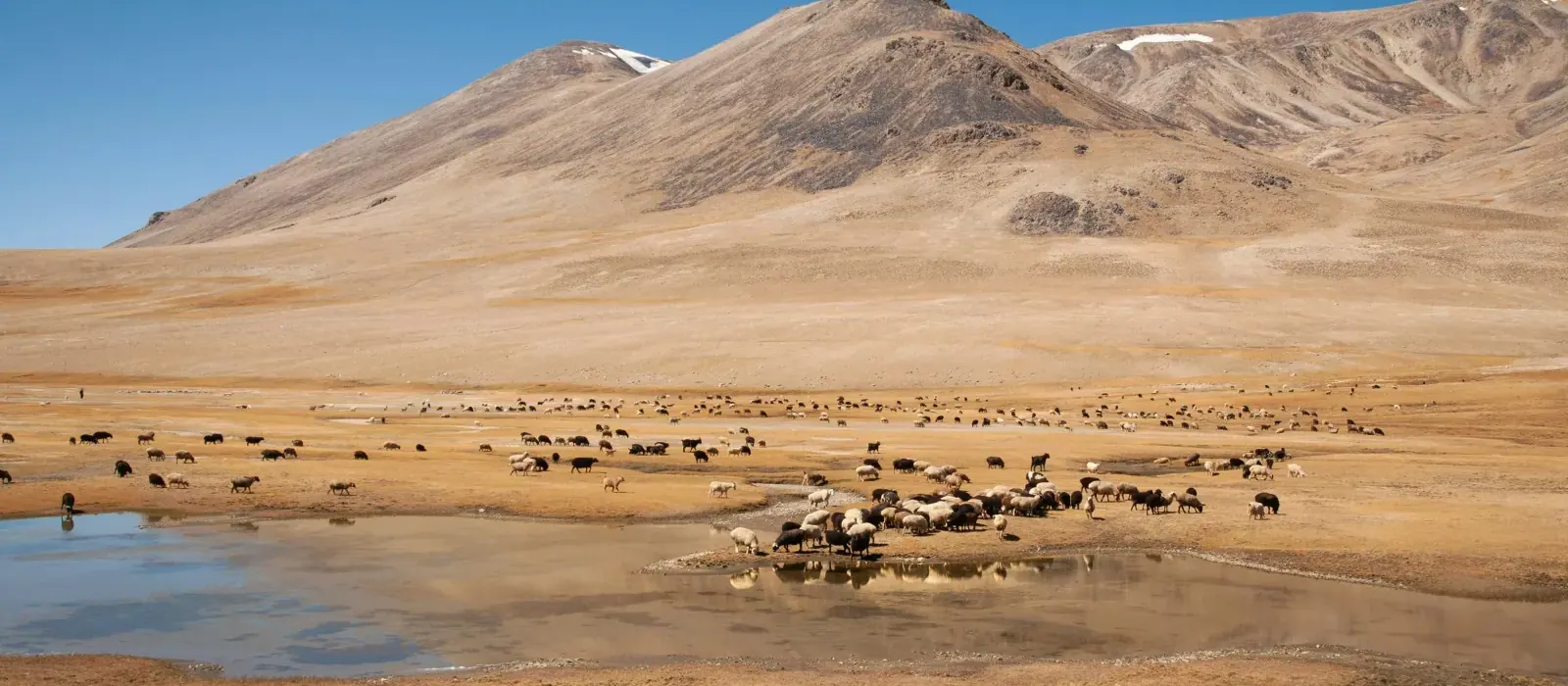 Pamir landscapes