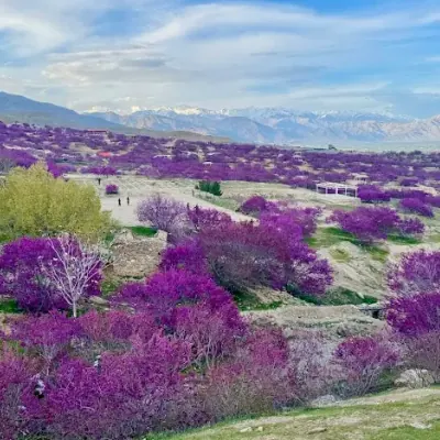 Parwan province