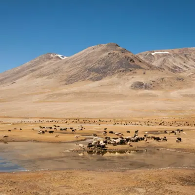 Pamir landscapes