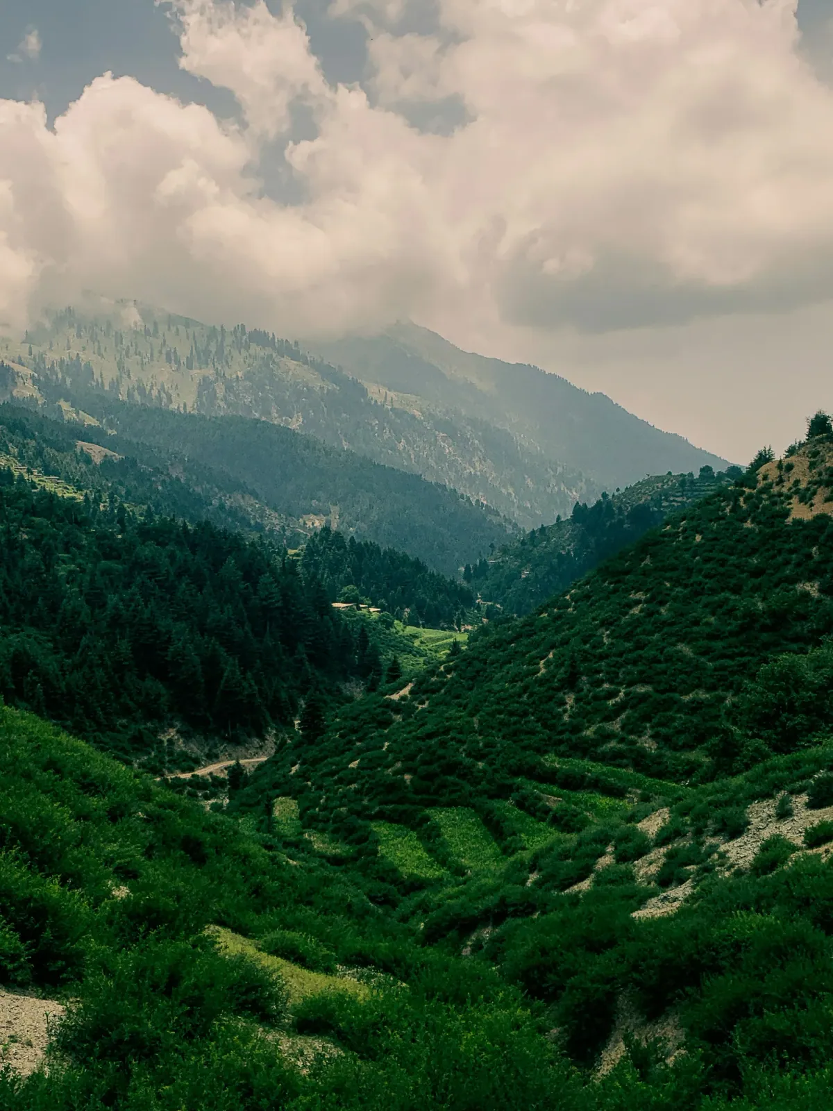 The mountains of eastern Afghanistan near the Pakistan border