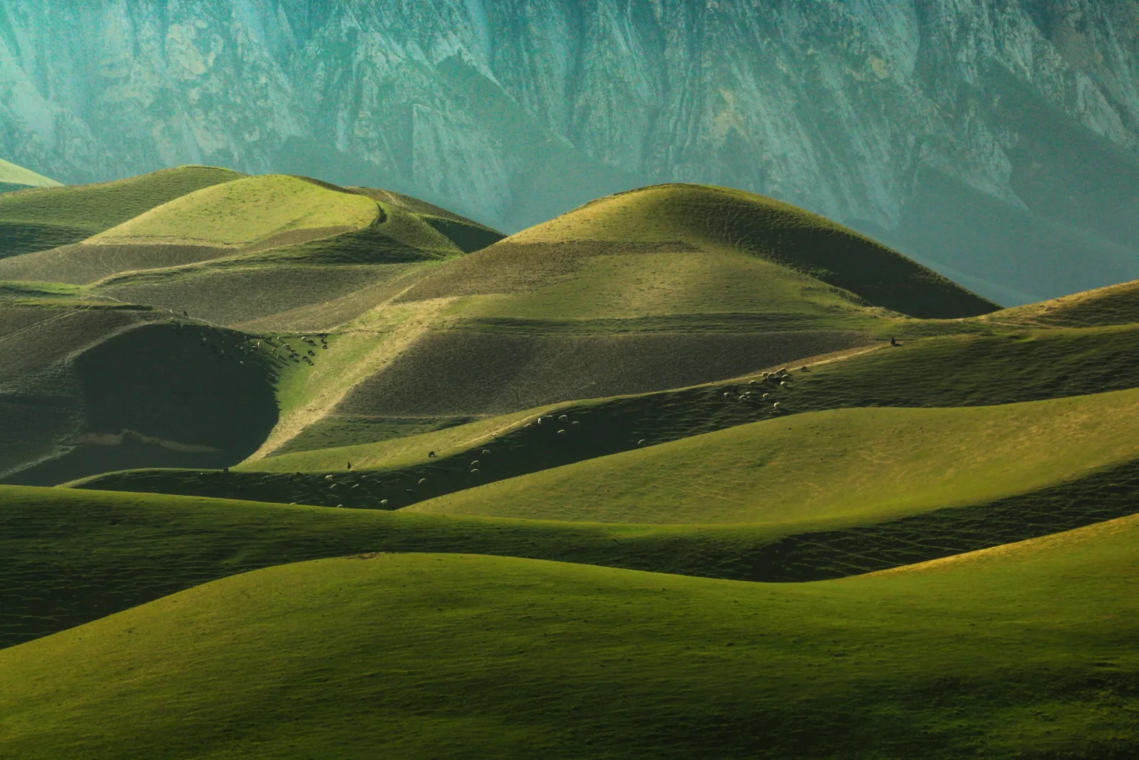 Silk Road North Circuit - Afghanistan Tour